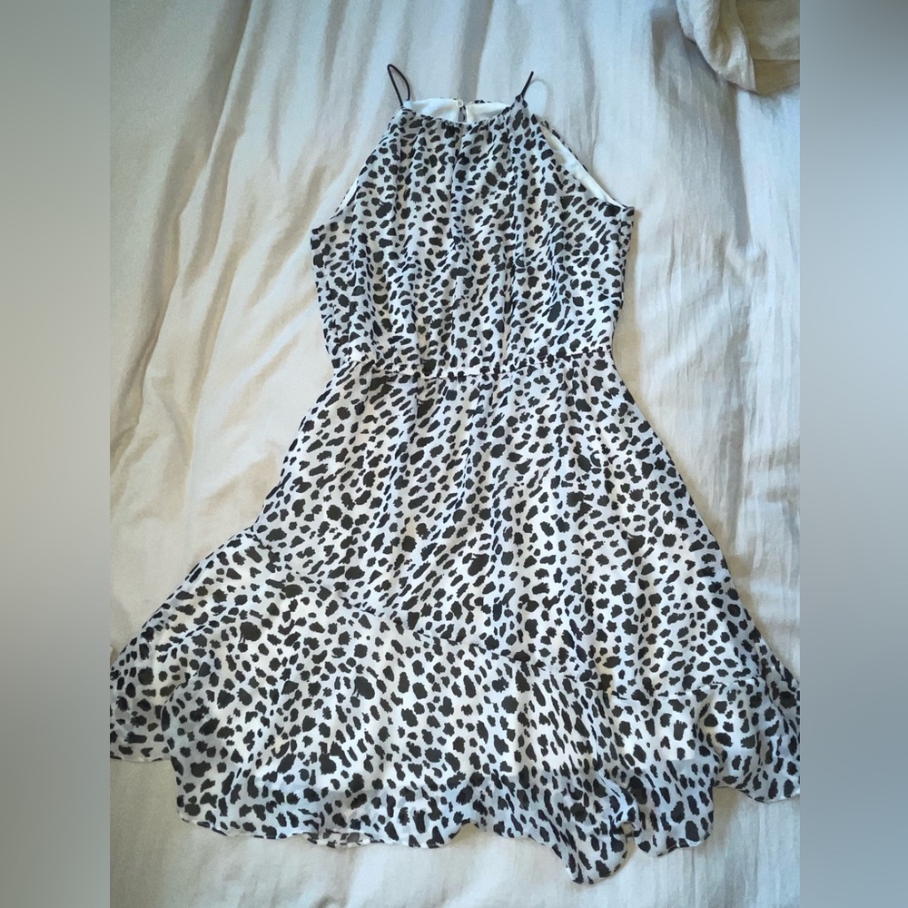 Aqua Black and White Halter A-Line Mini Dress